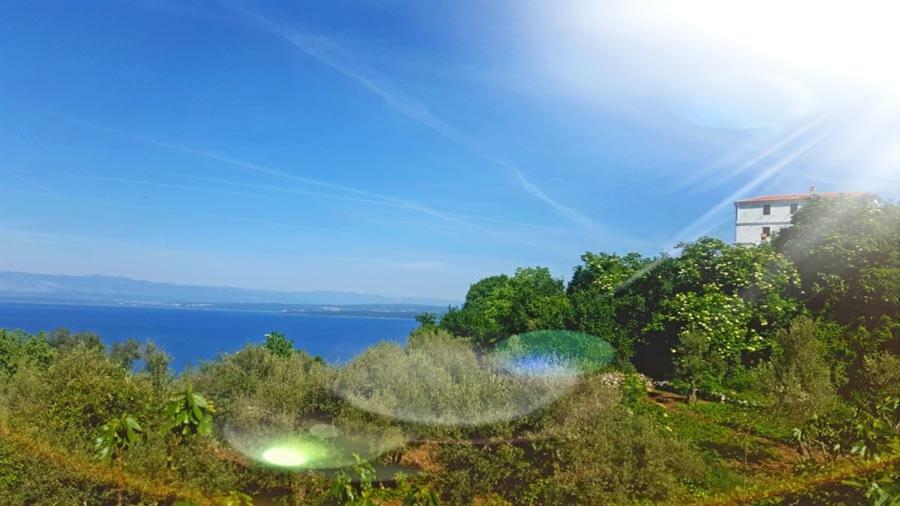 Crveni Apartman Cres Dış mekan fotoğraf
